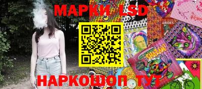 индика Кингисепп