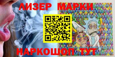 индика Кингисепп