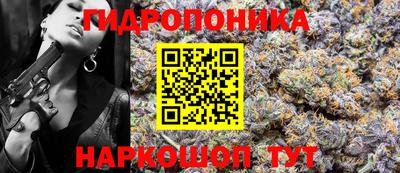 индика Кингисепп