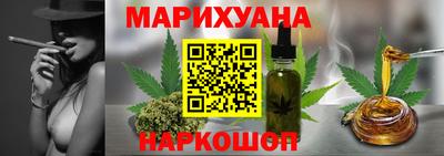 индика Кингисепп
