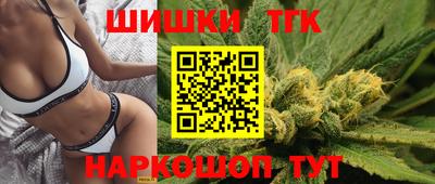 индика Кингисепп