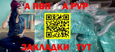 индика Кингисепп