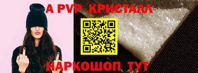 индика Кингисепп