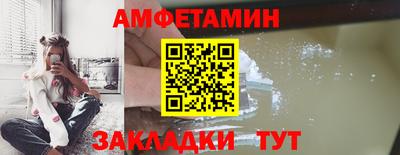 индика Кингисепп