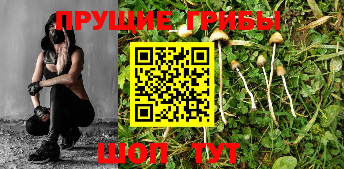 Лабытнанги  Галлюциногенные грибы ЛСД  Галлюциногенные грибы MAGIC MUSHROOMS  Вход с VPN 