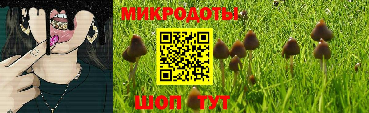 Галлюциногенные грибы ЛСД Лабытнанги
